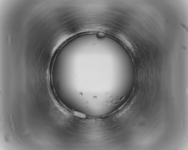 X0000096490936200802071939