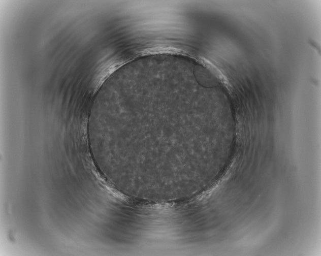 X0000096490937200802071939