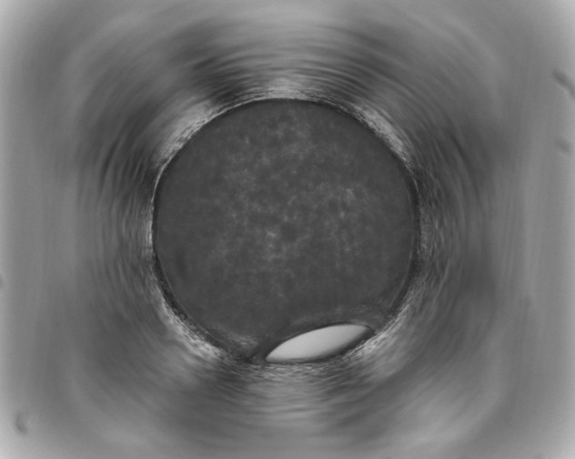 X0000096490938200802071939