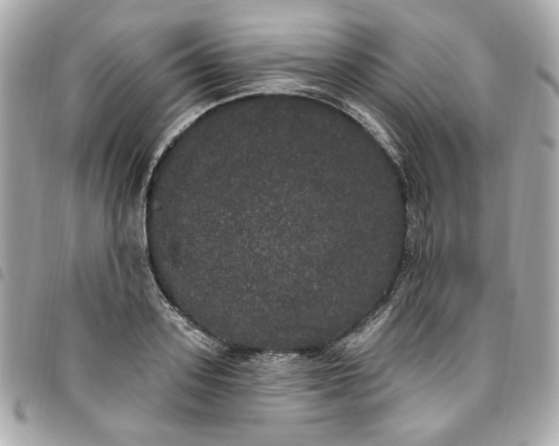 X0000096490939200802071939