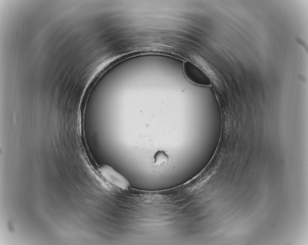 X0000096490940200802071939