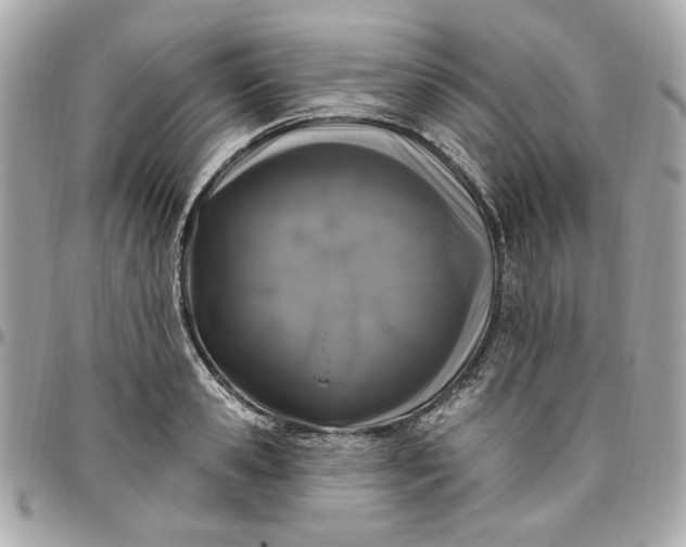 X0000096490941200802071939