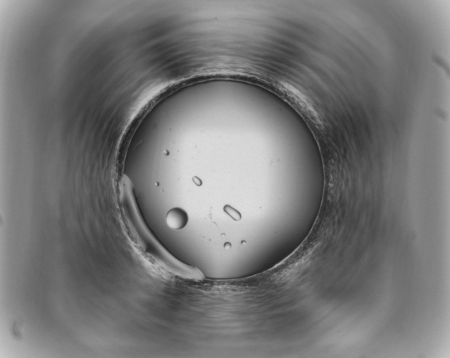 X0000096490942200802071939