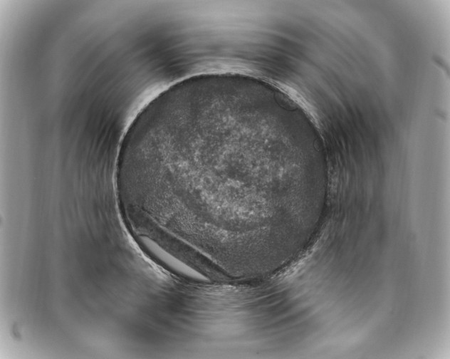 X0000096490943200802071939