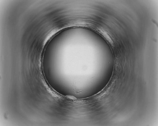 X0000096490944200802071939