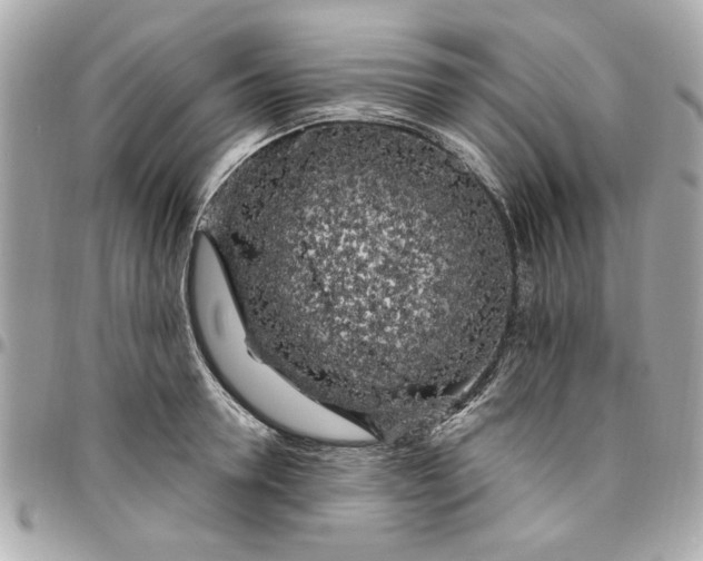 X0000096490946200802071939