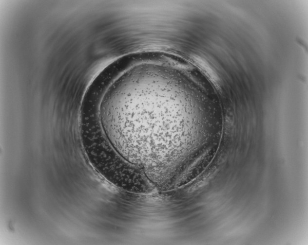 X0000096490948200802071939