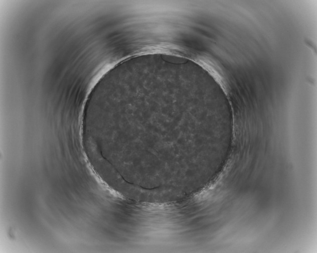 X0000096490949200802071939