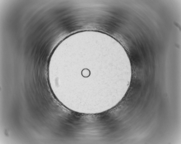 X0000096490950200802071939