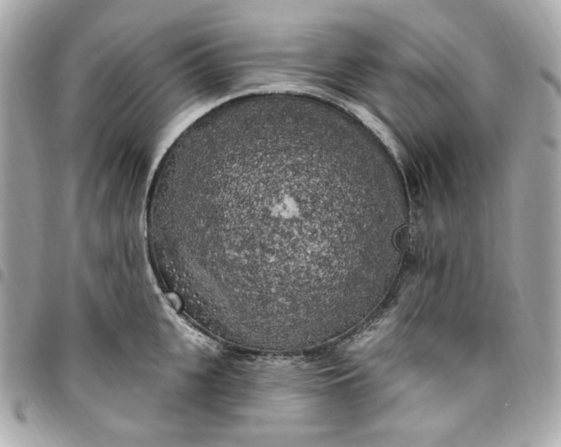 X0000096490951200802071939