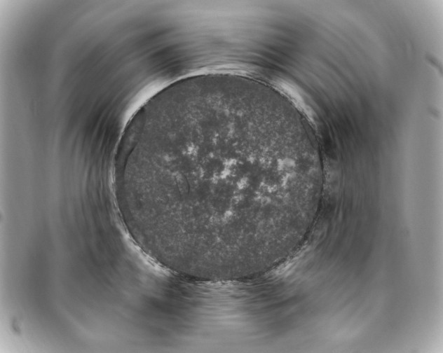 X0000096490952200802071939