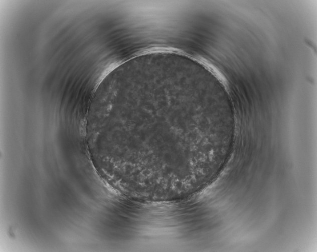 X0000096490953200802071939