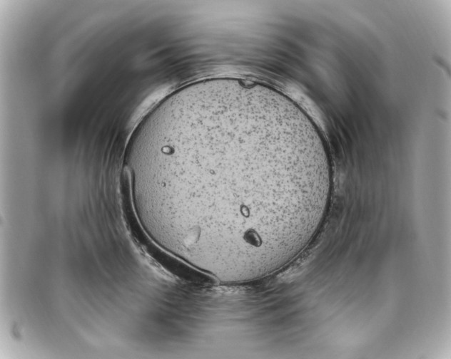 X0000096490954200802071939