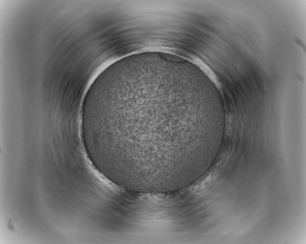 X0000096490955200802071939