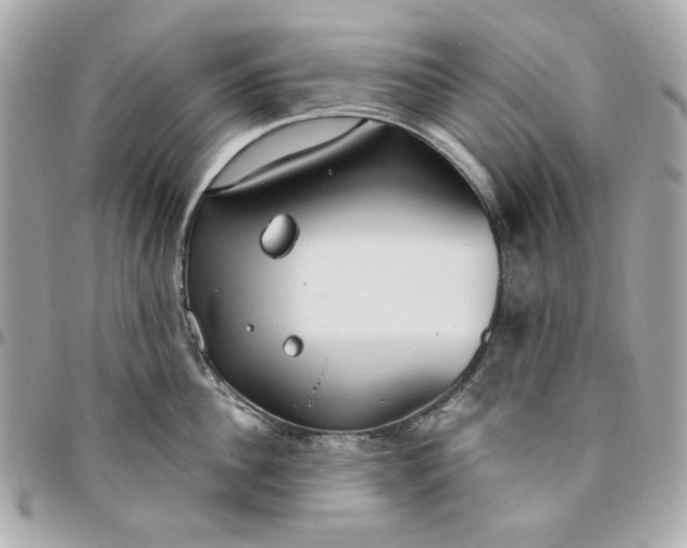 X0000096490956200802071939