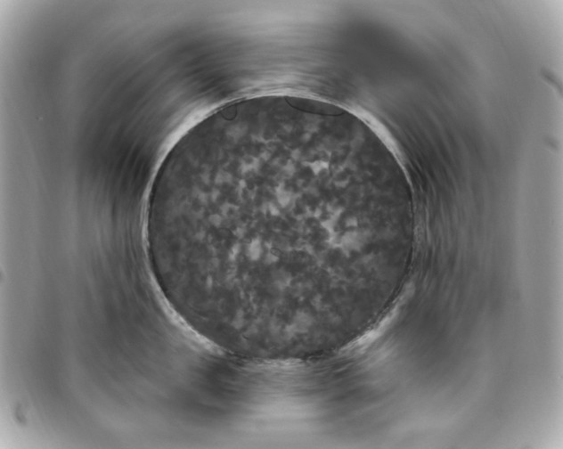 X0000096490957200802071939