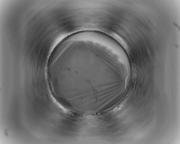 X0000096490958200802071939