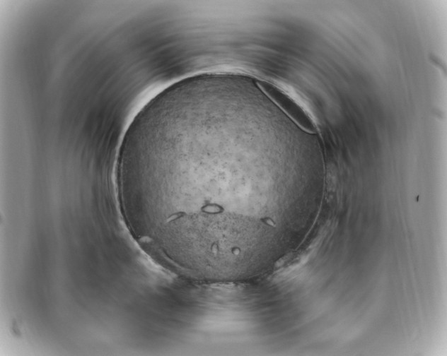 X0000096490959200802071939