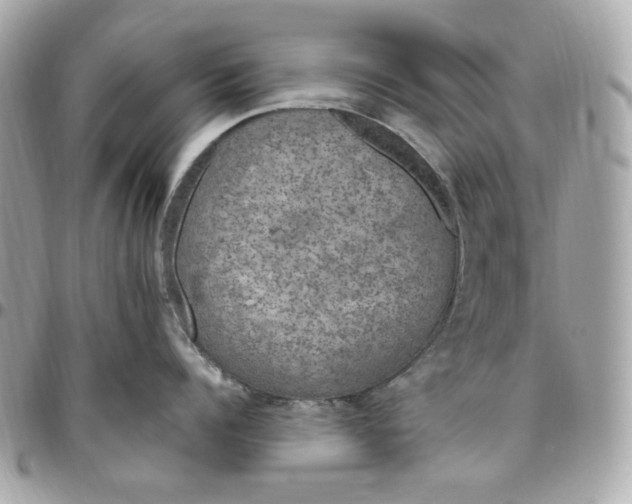 X0000096490960200802071939