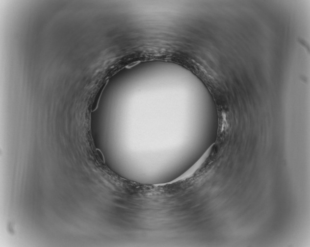 X0000096490961200802071939