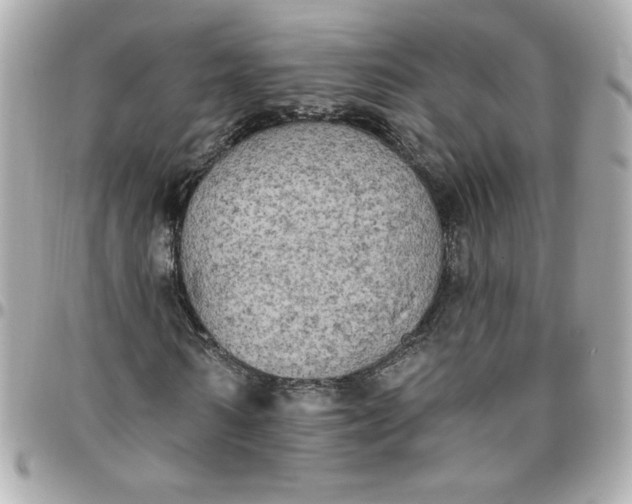 X0000096490962200802071939