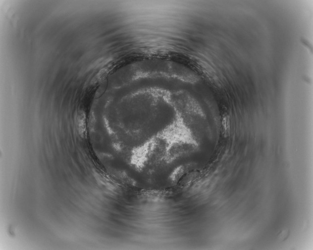 X0000096490963200802071939