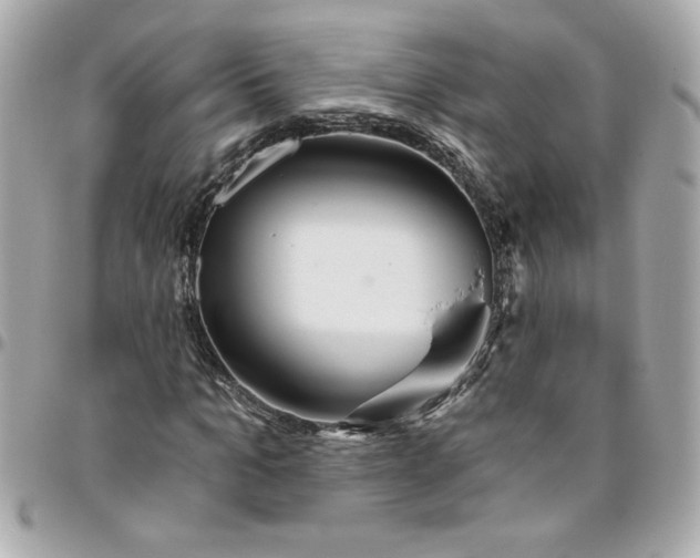 X0000096490965200802071939