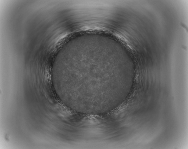 X0000096490966200802071939