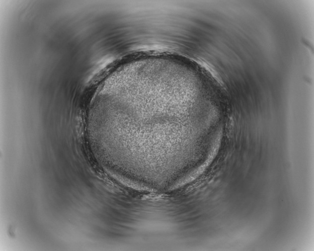 X0000096490967200802071939