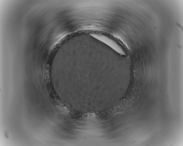 X0000096490968200802071939