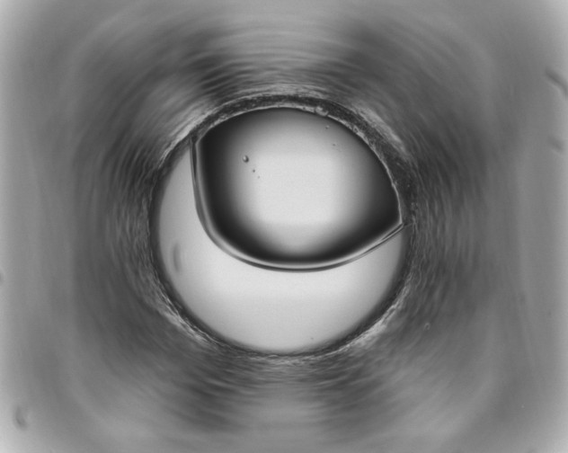 X0000096490969200802071939