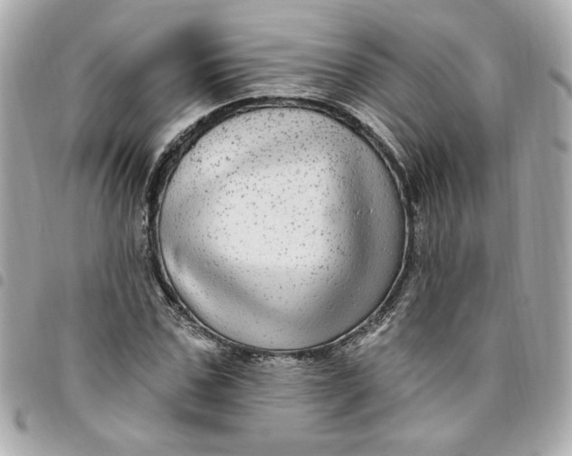 X0000096490971200802071939