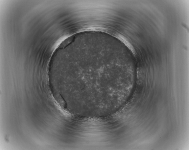 X0000096490972200802071939