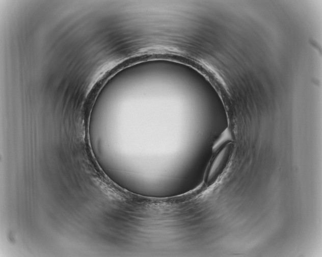 X0000096490973200802071938