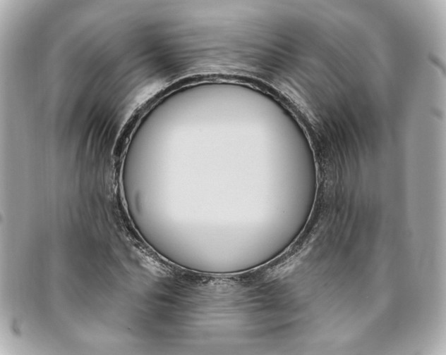 X0000096490974200802071938