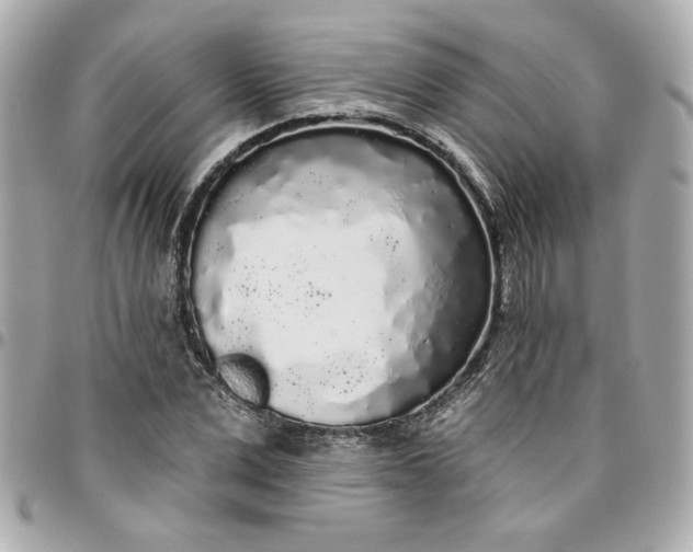 X0000096490975200802071938