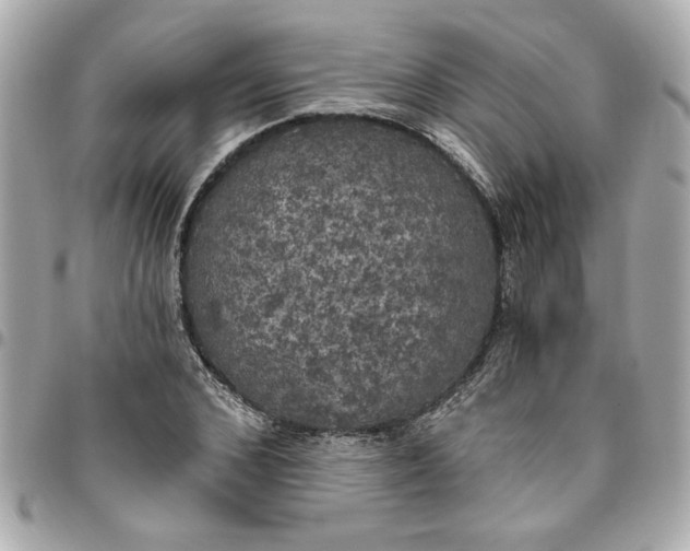 X0000096490976200802071938