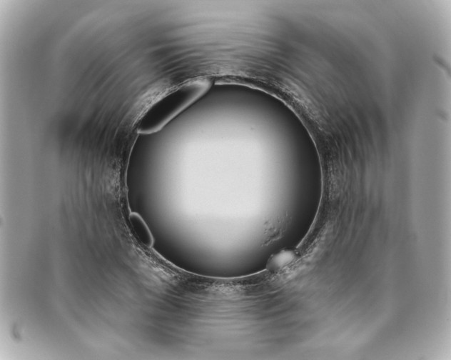 X0000096490977200802071938