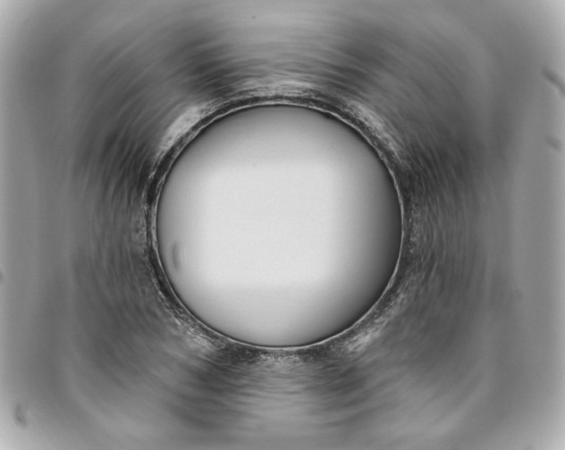 X0000096490978200802071938