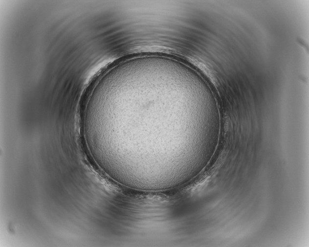 X0000096490979200802071938