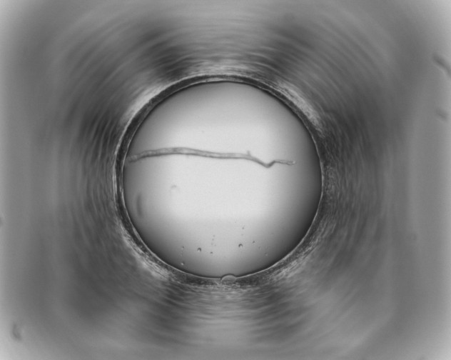 X0000096490980200802071938