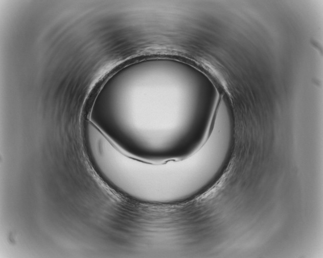 X0000096490981200802071938