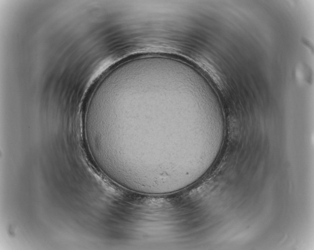 X0000096490982200802071938