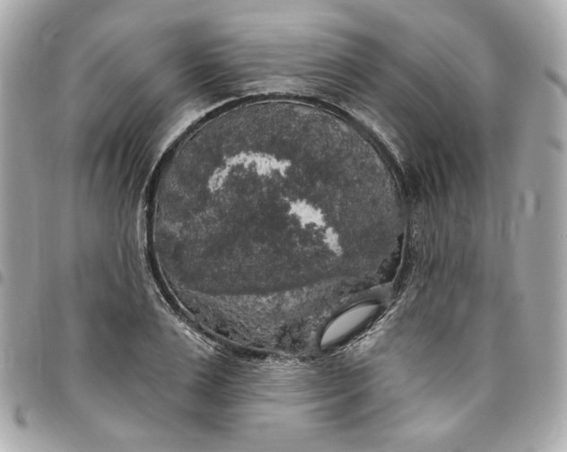 X0000096490983200802071938