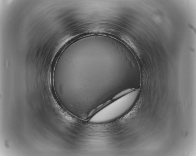 X0000096490984200802071938