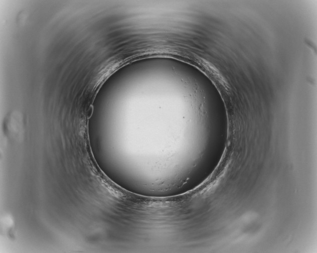 X0000096490985200802071938