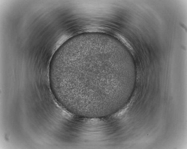 X0000096490986200802071938