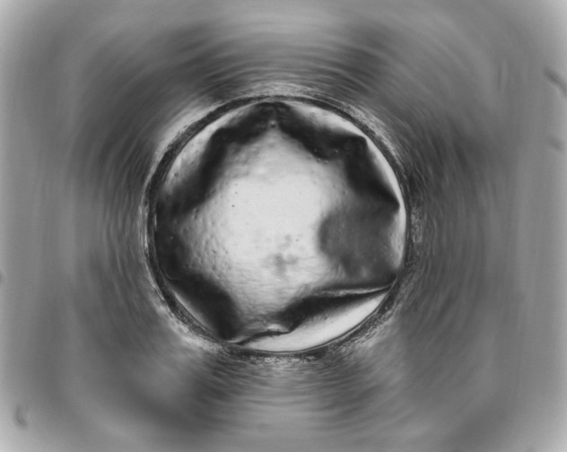 X0000096490987200802071938