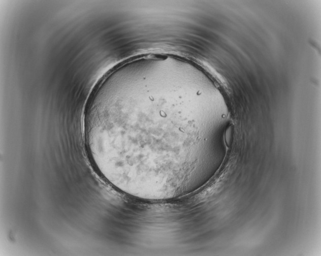 X0000096490988200802071938