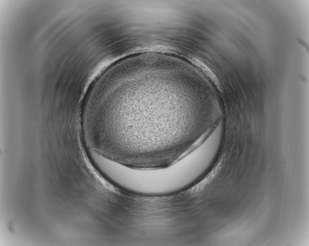 X0000096490989200802071938